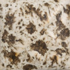 SW155 - tekutá glazura, Winter Wood, krémová, Mayco, 0,472 l
